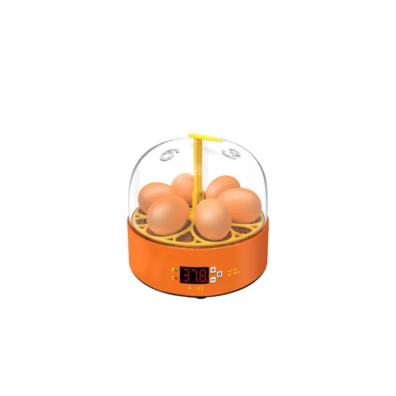 

Egg Mini Egg Incubator Automatic Egg Hatcher