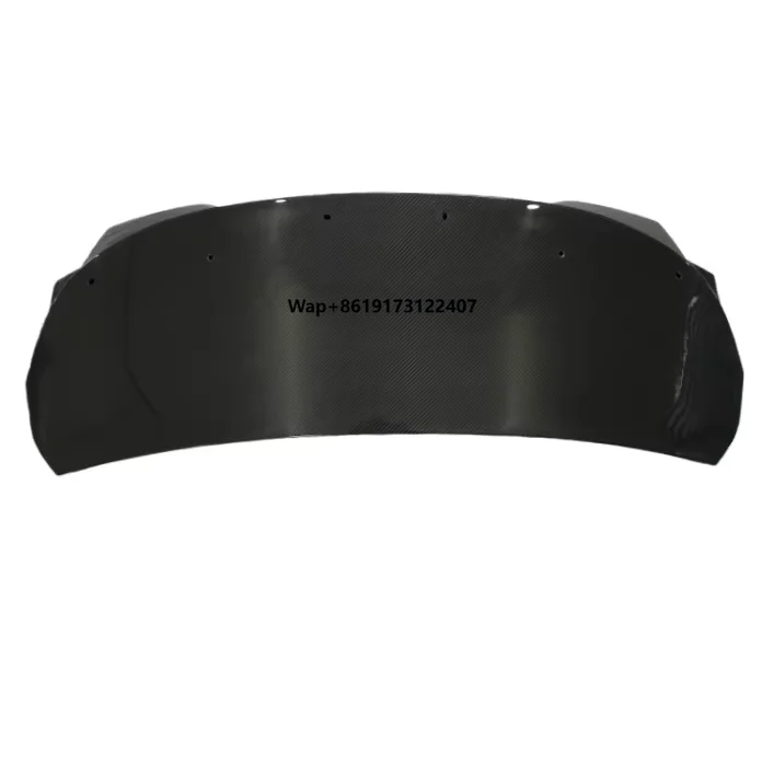 

High Quality Trunk Lid for IS Model Wet Carbon Fiber Material
