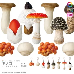 Kitan Club Genuine Japanese Gacha Toy NTC Illustrated Fungus Mushroom Simulation Food Miniature Model Gift Collect Ornament