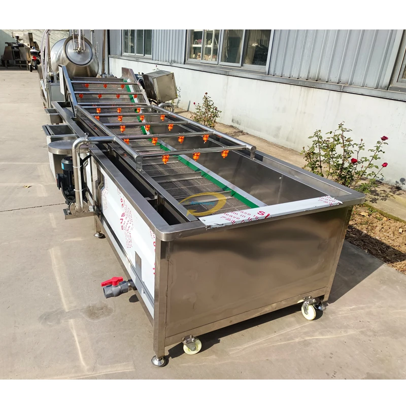 Industrial Fresh Vegetables Lettuce Leek Seafood Washing Machine Fruit Cleaning Machinery