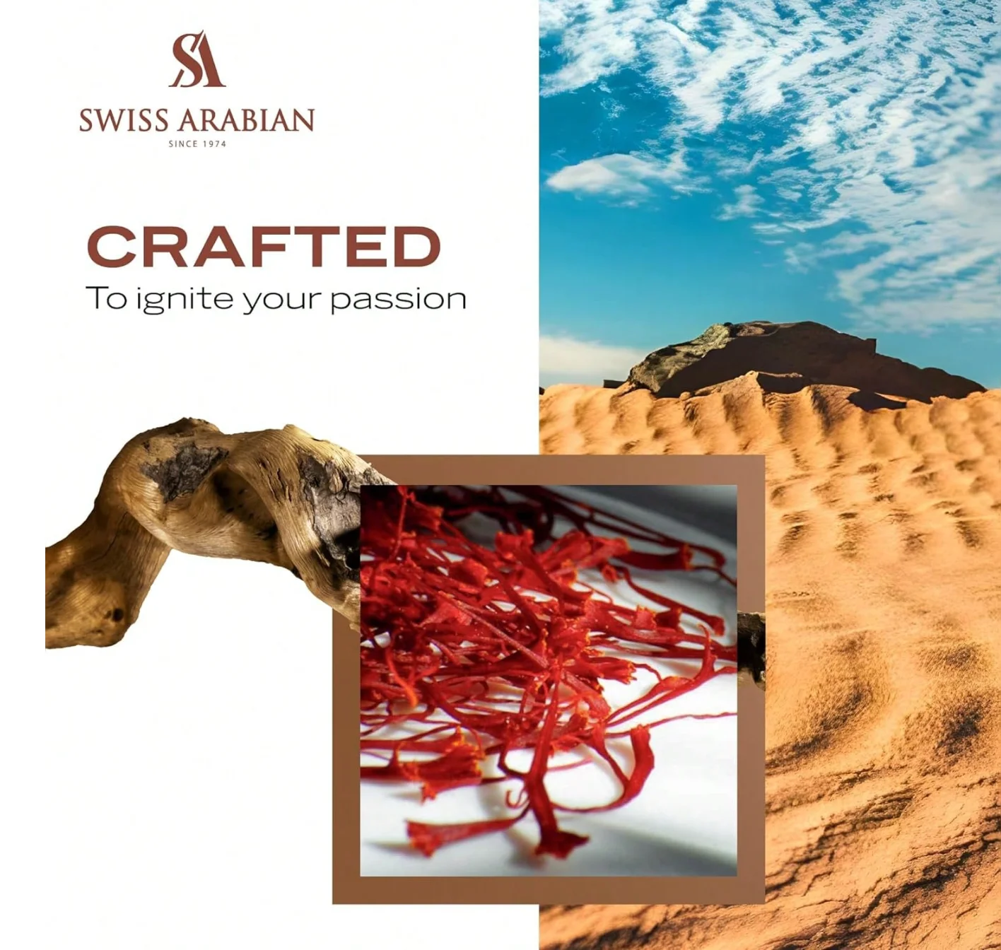 Swiss Arabian Shaghaf Oud Royale Picante, Fragrância Aromática - Notas de Açafrão e Lavanda - Presente de feriado