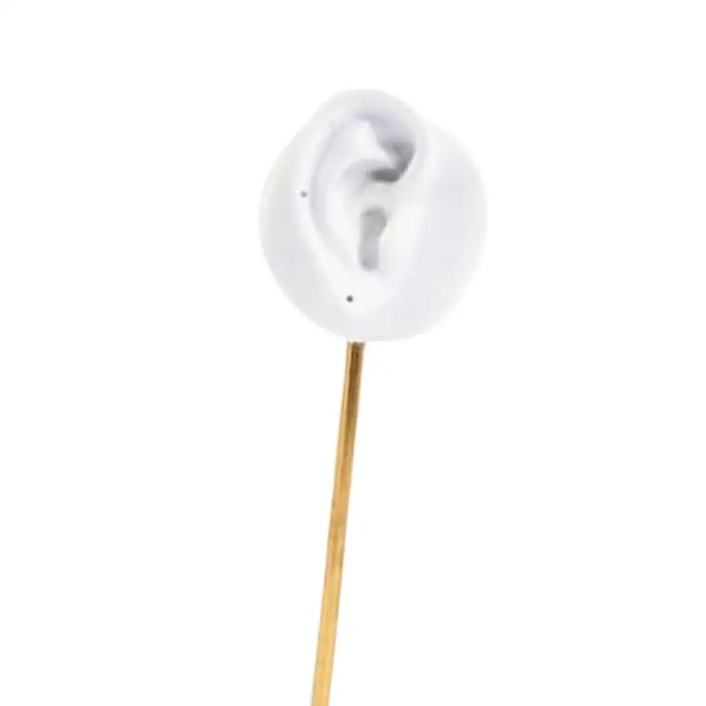 Support de Clou d'Oreille Durable, Modèle d'Oreille, Étagère, Crochets d'Oreille, Rangement T1 pour Commode