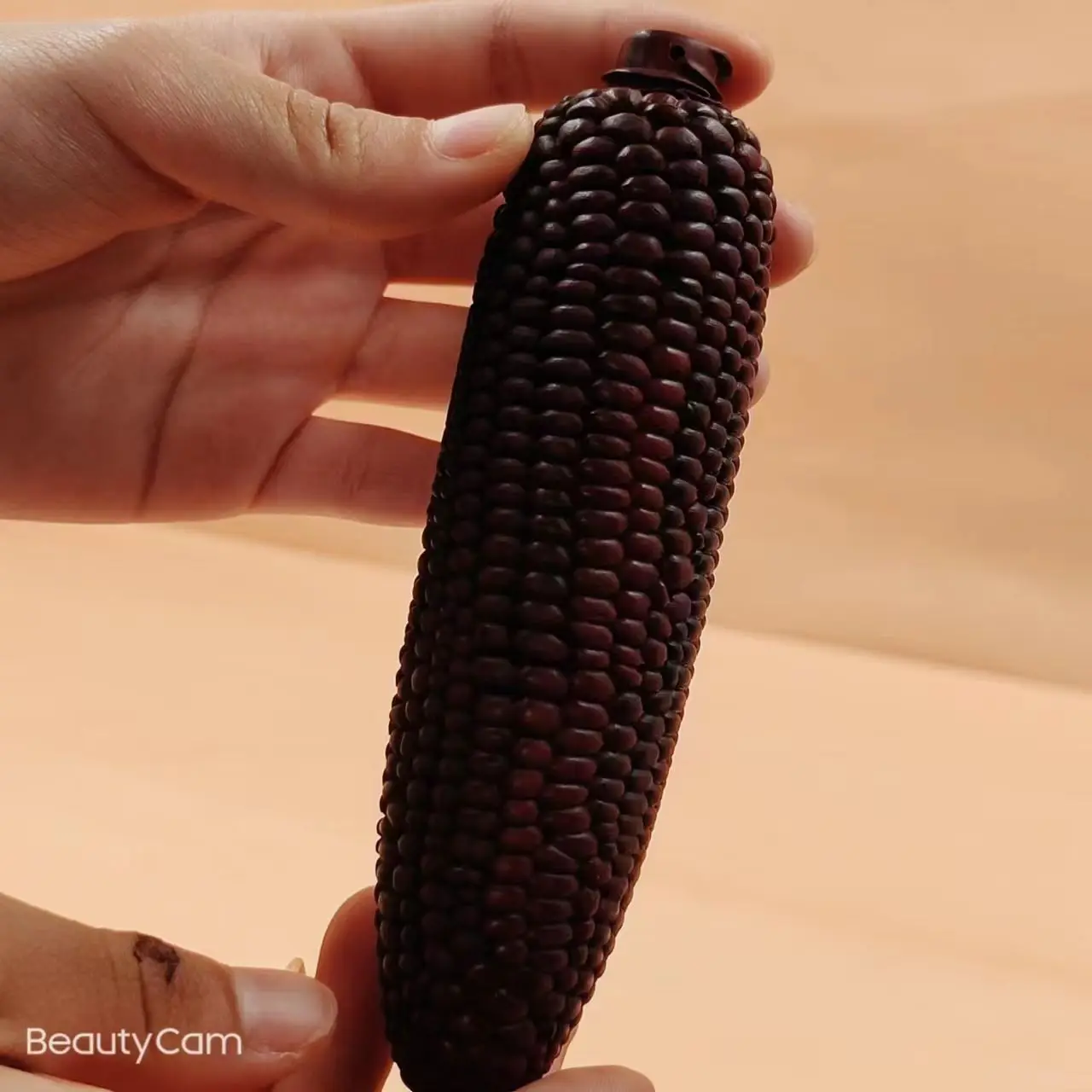 2025 New Rosewood Corn Hand Handle Size Two Sizes Primary Color Unpainted Decoration Gift for Friends