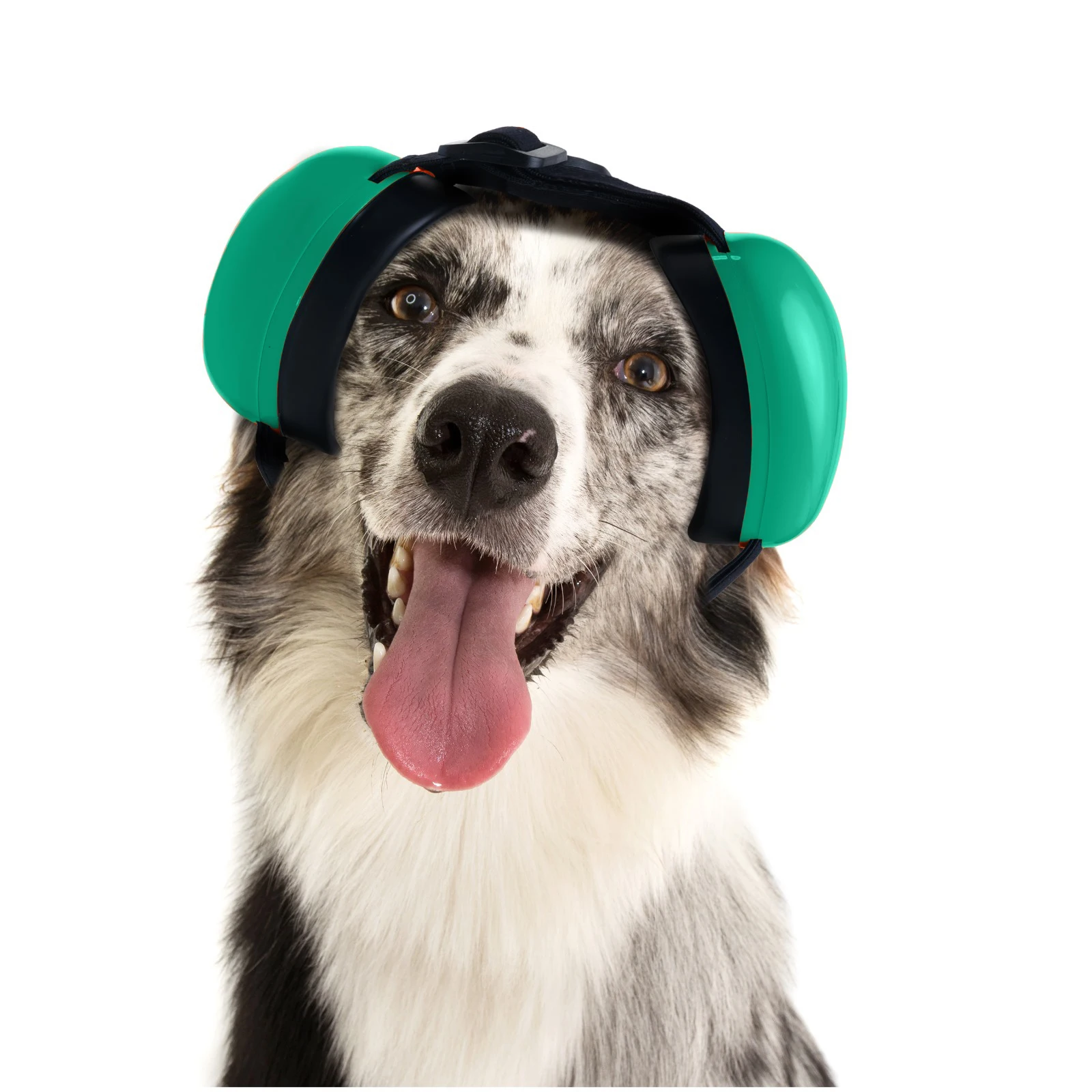 Olyga Noise Protection Dog Ear Muffs Hearing Protection 29dB NRR Pet Earmuff Comfortable Universal Puppy Ear Shield