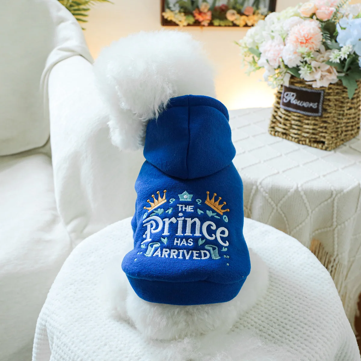 1PC Pet Clothing Spring and Autumn Velvet Blue Little Prince Hoodie Hat Hoodie Suitable for Small and Medium sized Dogs