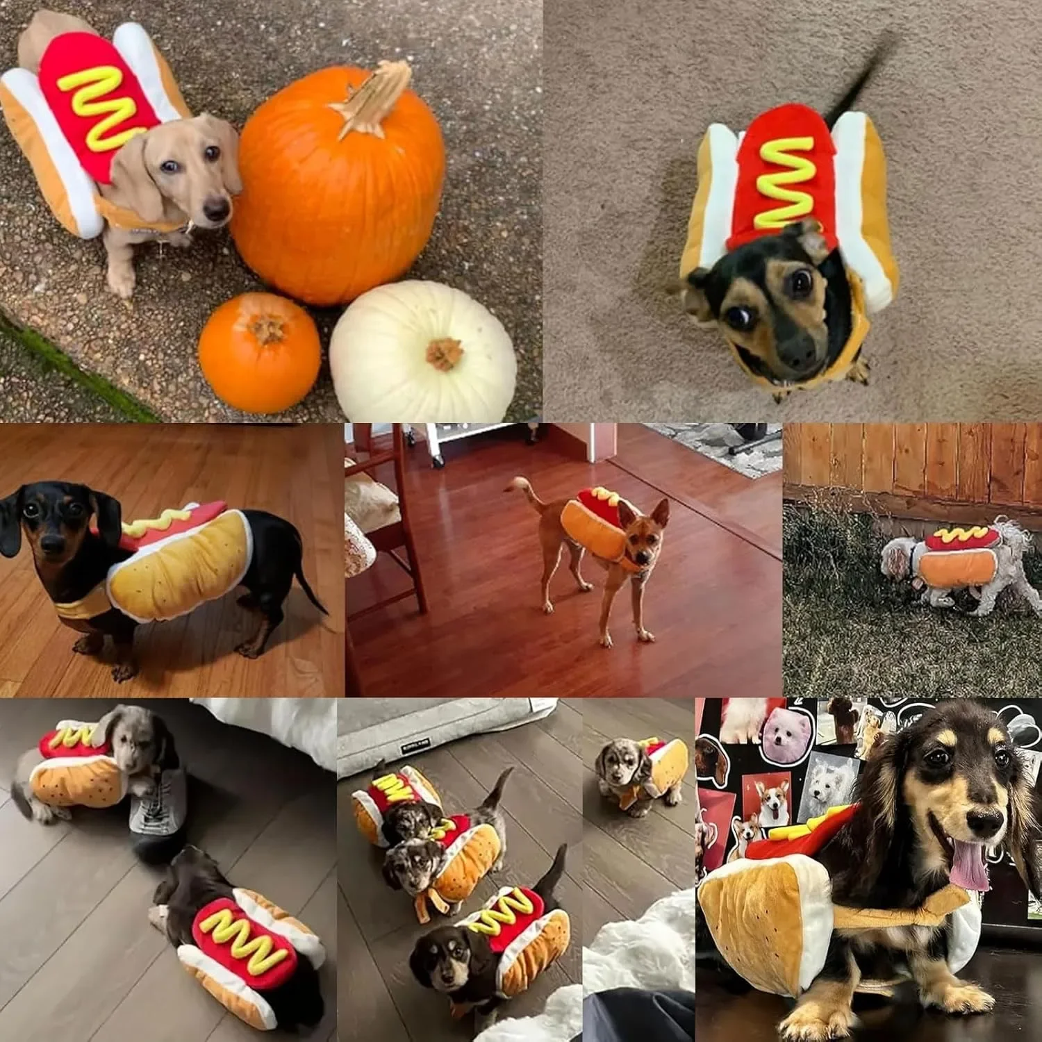 Funny Holiday Dog and Cat Pet Costumes Adjustable Clothes Pet Costume Cosplay Cute Dachshund Party Costumes view 5