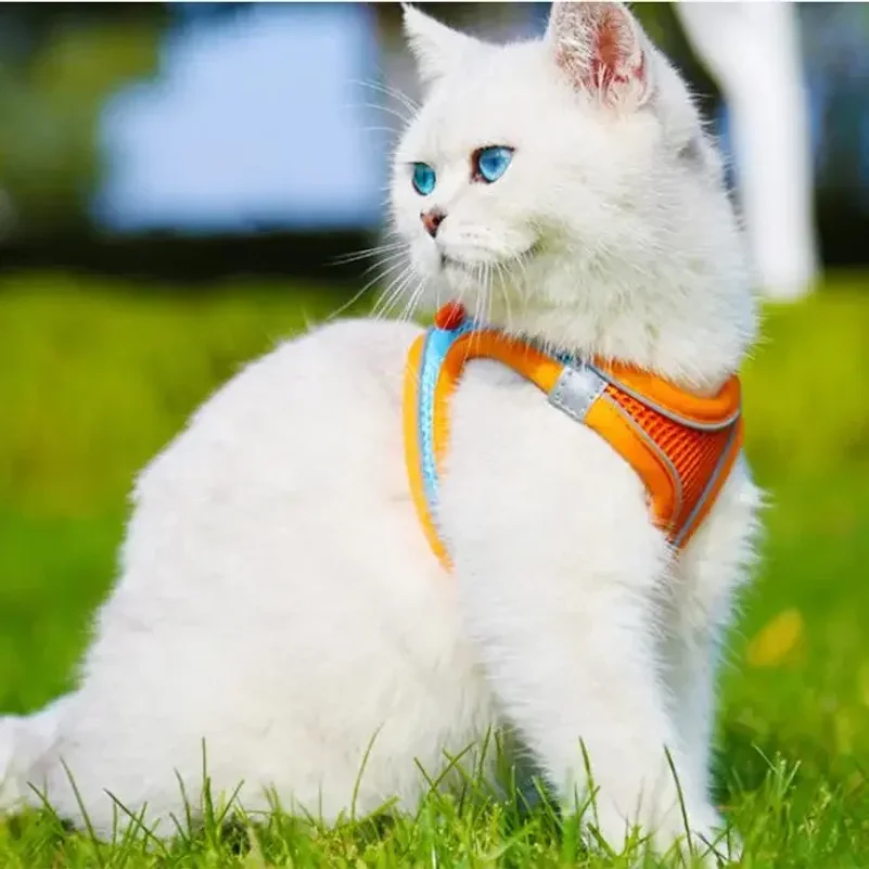 XXXS-L Reflective Pet Harness Dogs Strap With Leash Adjustable Harness Vest Breathable Collars For Chihuahua Small Large Dogs_voghion.com