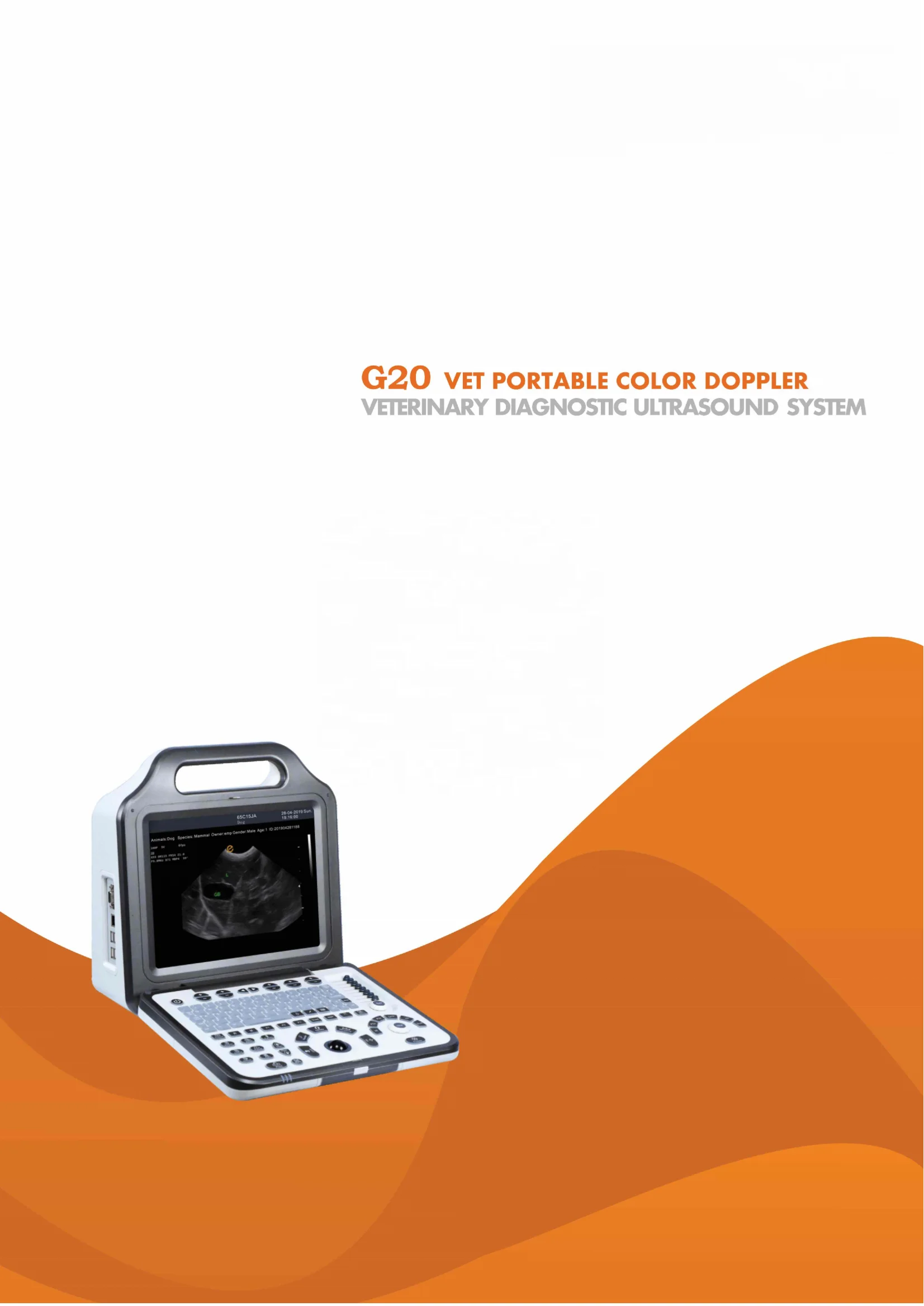 Vet Ultrasound Machine Ultrasound Color Doppler Therapy Machine With Display Screen