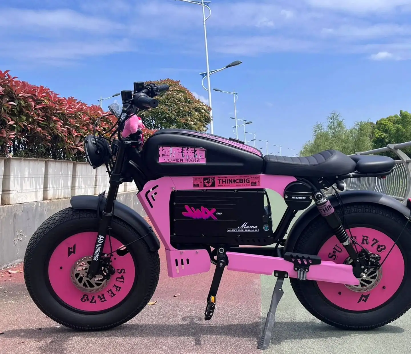 Black Warrior adult electric bike 3000W motor 60V45AH battery 90KM/H electric bicycle 20 inch tire off-road all-terrain e-bike image 3