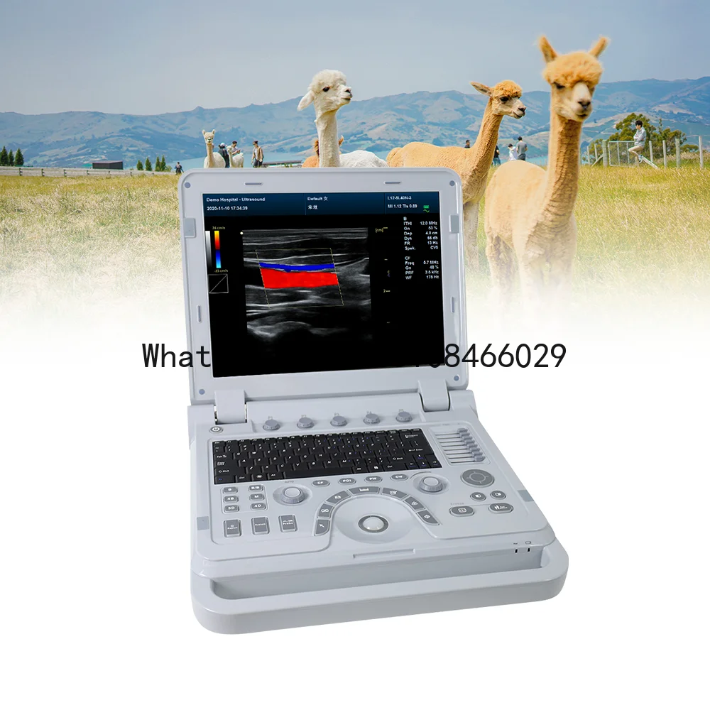CONTEC CMS1700B-VET veterinary color doppler ultrasound scanner for animals ultrasound for animals