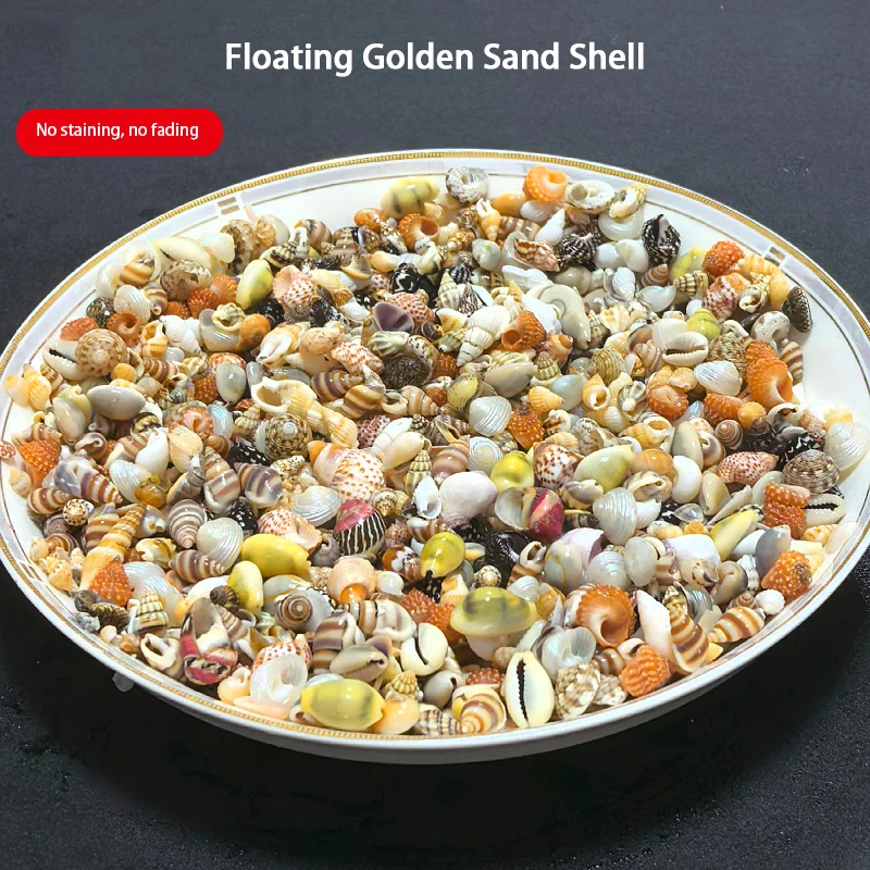 Shells Are Sold by the Pound Mixed Assortment. Handmade DIY Table Setup Making Float Bottles