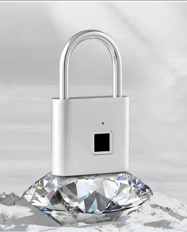 Armoire intelligente Guangdong, 2 pièces, avec sac antivol, serrure à empreintes digitales et reconnaissance de porte, serrure de porte intelligente avec sac et porte Ba