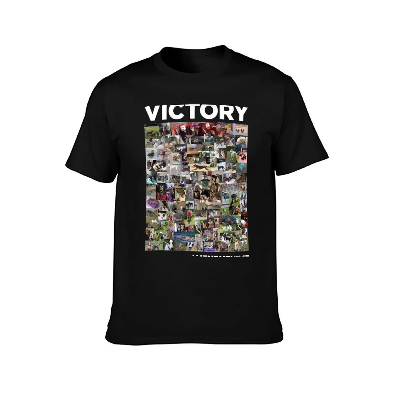 Victory - Amendment 13 in Color T-Shirt, Summer Casual Cotton Tee, Oversized Streetwear Tops, Vintage Graphic Print, 100% Cotton