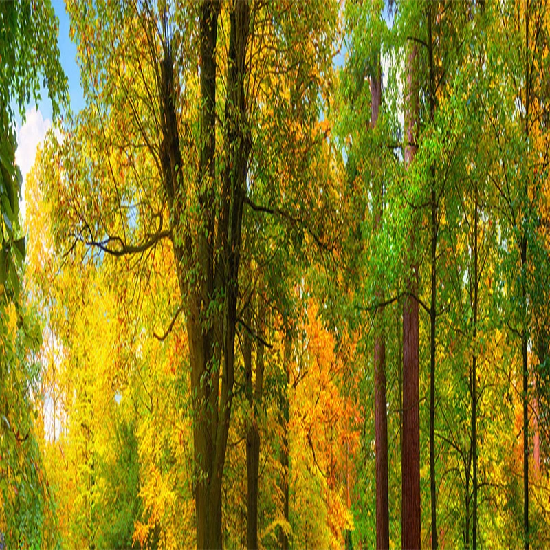 Nach Wandbild Tapete Grün Wald Natur Landschaft Wand Malerei Wohnzimmer Restaurant Cafe Hintergrund Wand Dekor Papel De Parede