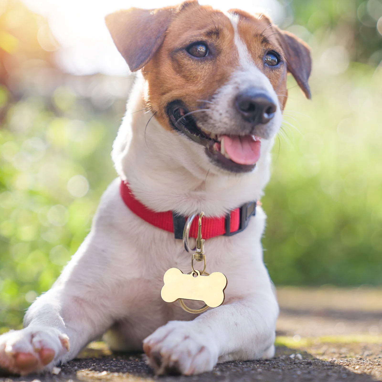 

60pcs Dog Key Ring Zinc Alloy Metal Keychain For Home Keys Holder Diy Creative Keyring Accessories Pet Supplies