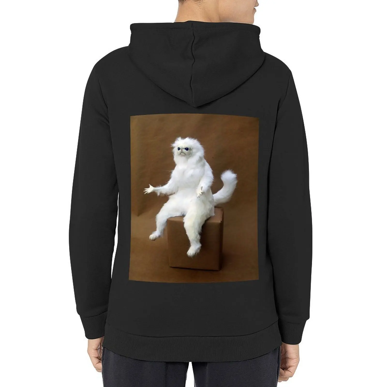

Persian Cat Room Guardian Hoodie blouse japanese style hooded shirt aesthetic clothing hoodie