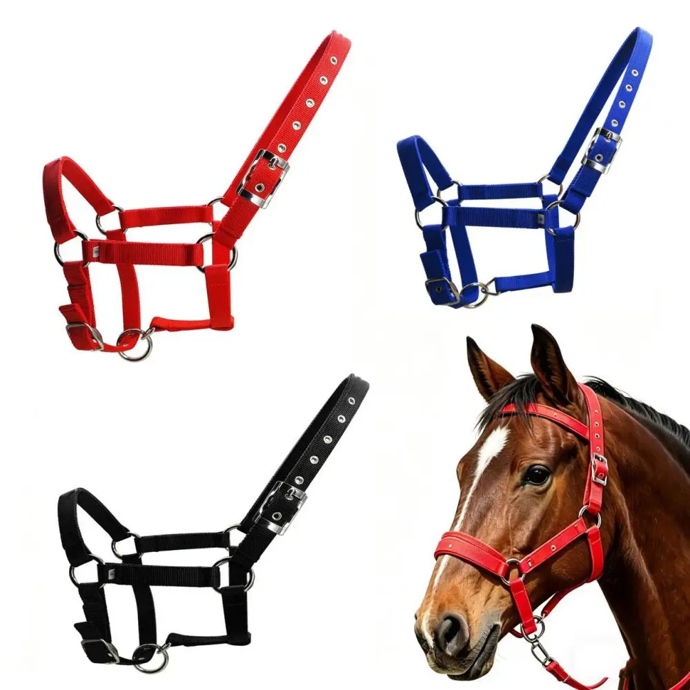 Adjustable Horse Halter 25mm Thick PP Strap Durable Equestrian Headcollar with Metal Buckle, 3 Colors for 0.9-1.75m Horse