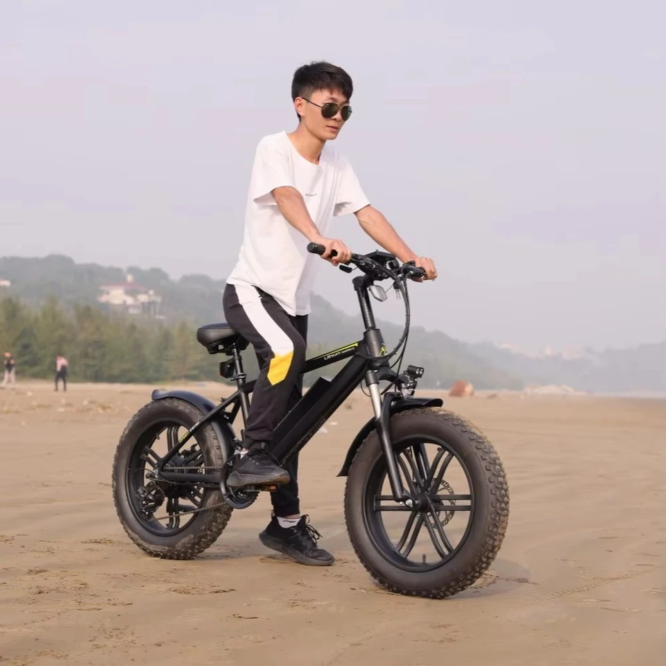 20 Inch Fat Tire Ebike 48V 500W 1000W Electric Bicycle 750W Mountain E Bike Power Assisted E-bicycle image 6