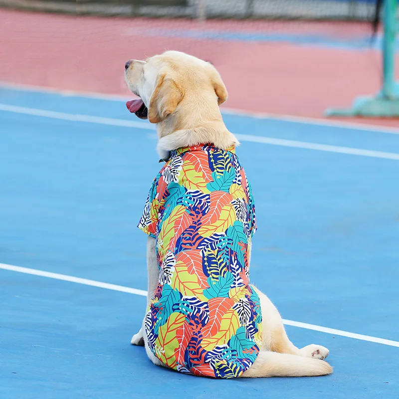 Roupas para cães de estimação, colete, camiseta, camisa fofa, fantasia de primavera, roupas para caes, camisa de fundo, fantasia de cachorro, roupas de cachorro