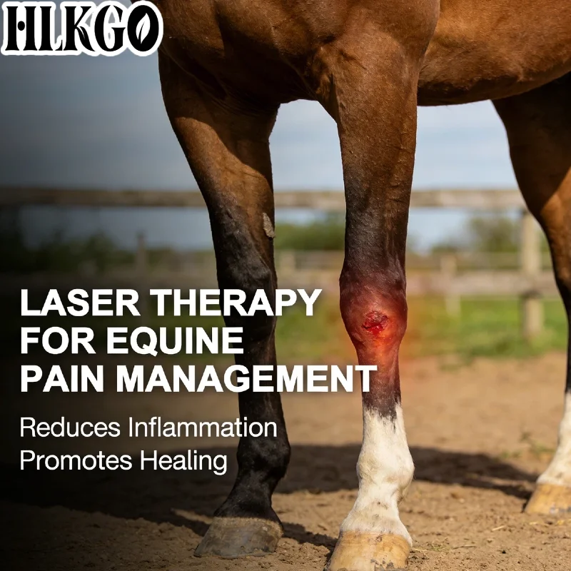 Professional Class 4 808nm Veterinary Laser Therapy System, Pain Relief Machine for Animals Wound Healing Clinic Use