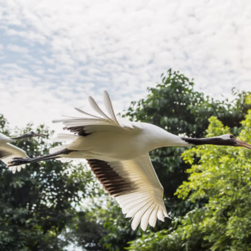 

Rc 2PCS 02033 Metal Wheel Axle For 1/10 HSP 94107 94108 94111 94123 Spare Parts