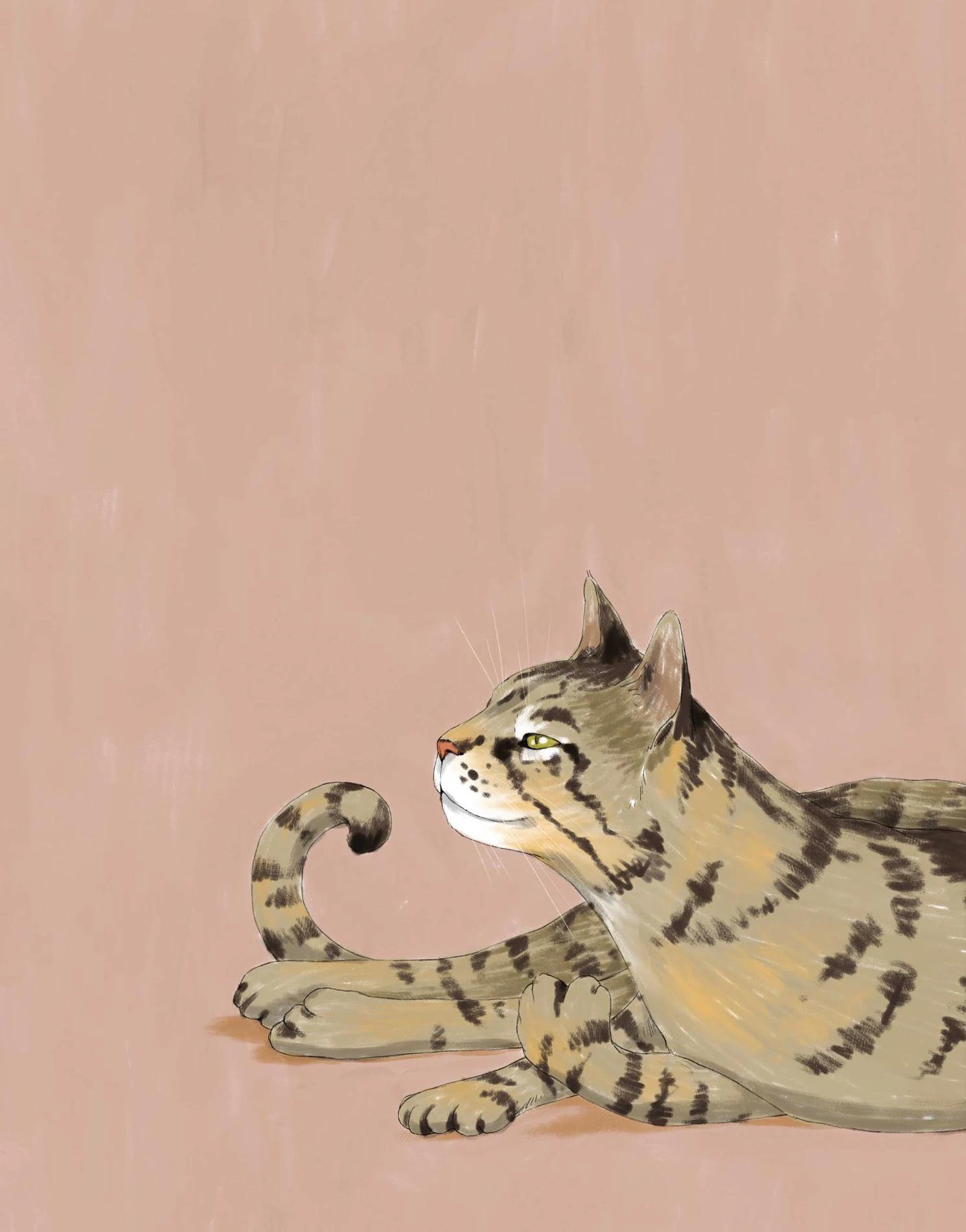New Cats Posters Bl…