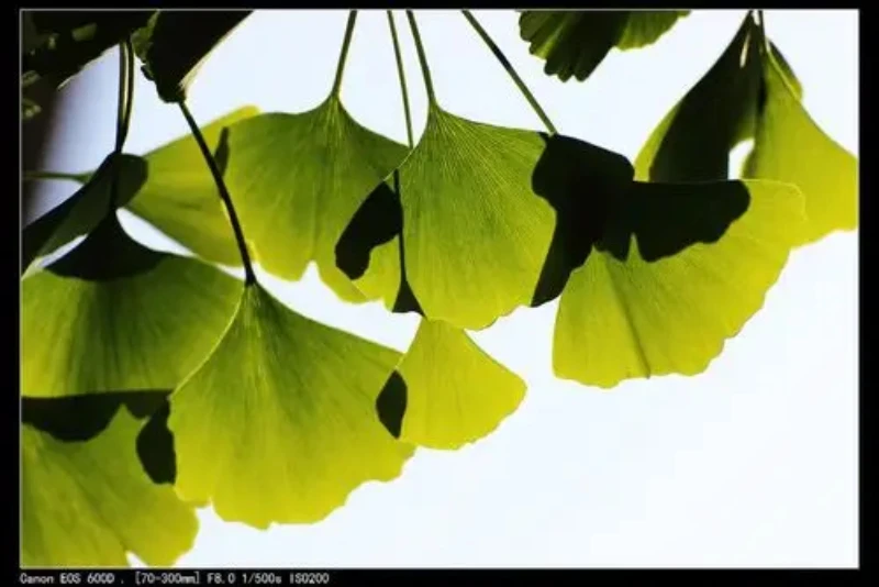 Новый литий-ионный аккумулятор 14,8 В, 12800 мАч, 4S1P, хорошее качество для робота-пылесоса CECOTEC Conga 3290 3390 3490 3590 3690 3790 3890