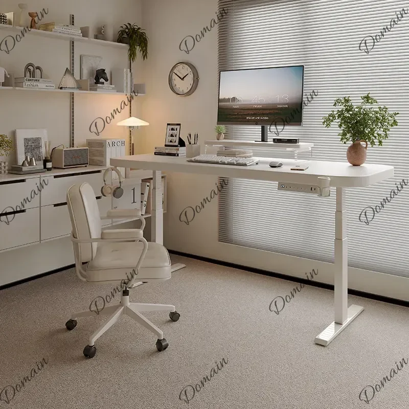 9X Strong Asthetic Executive Desk Storage Designer Large Luxury Office Desks White Cheap Modern Mesa De Escritorio Office Furnit