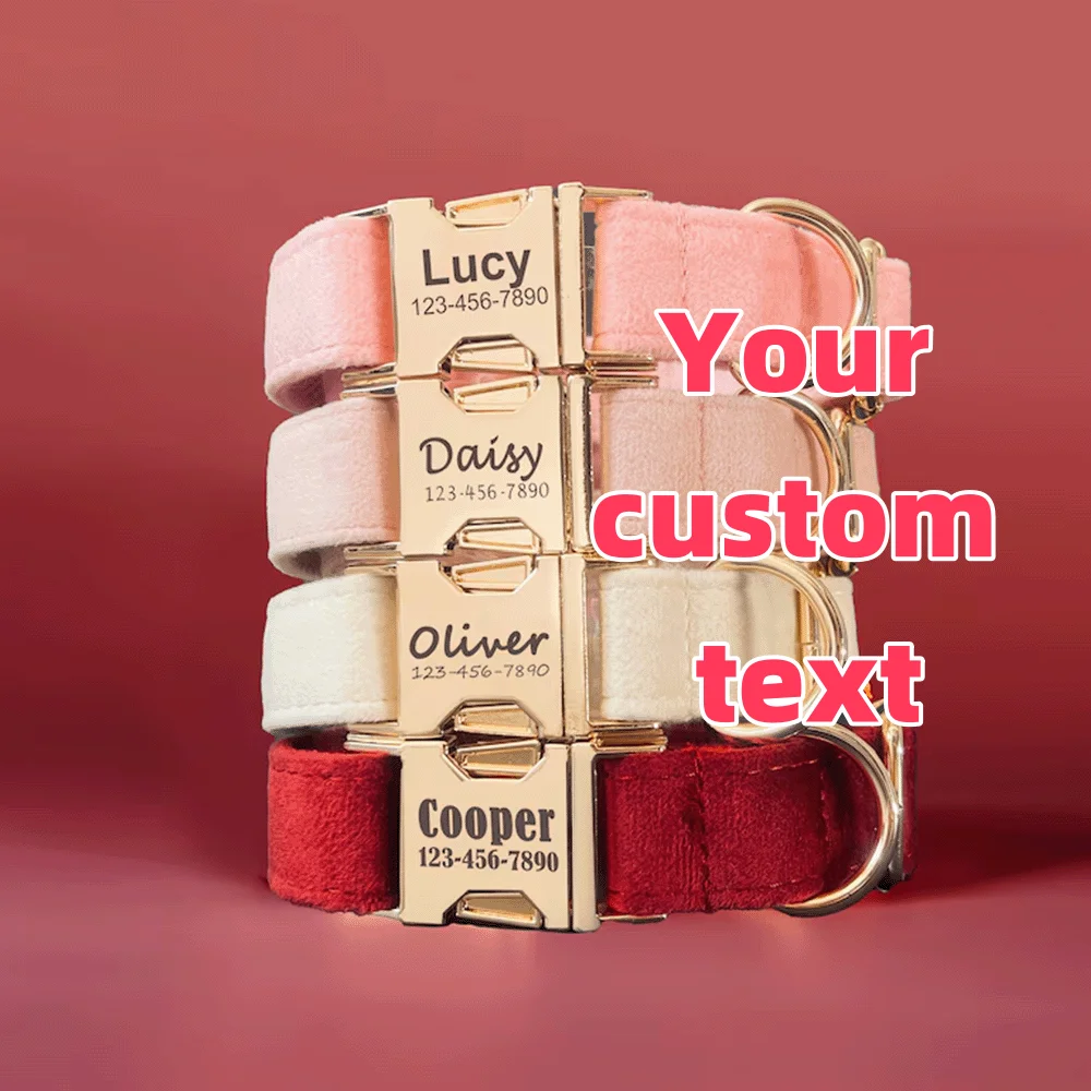 Customized Velvet Cute Pet Collar Creative anti-lost Pet Collar Customizable Text Light Luxury Fashion Beautiful Pet Accessories