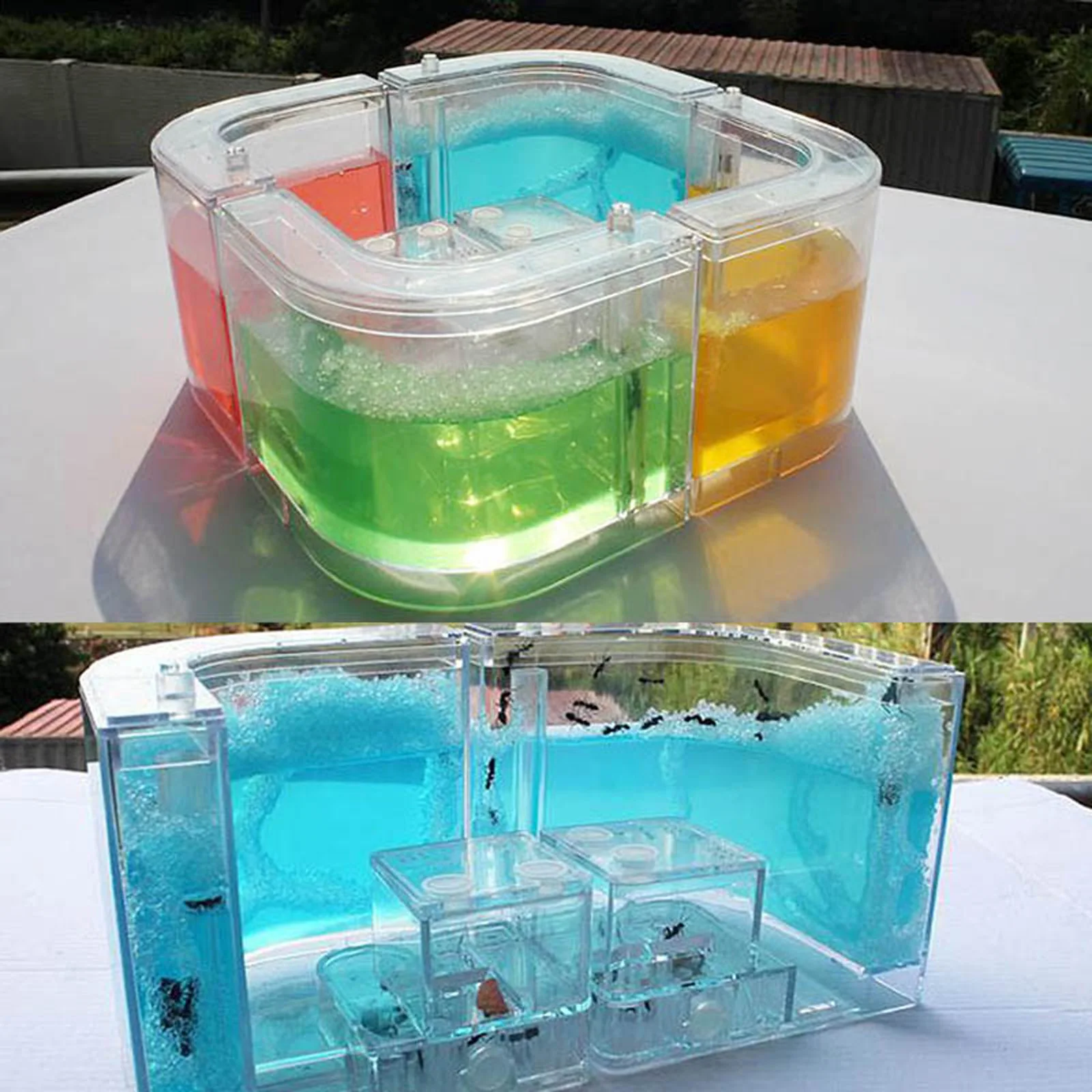 3D Ant Farm Educational Maze Educational & Learning Science Kit Toy for Study Architecture Ecosystem