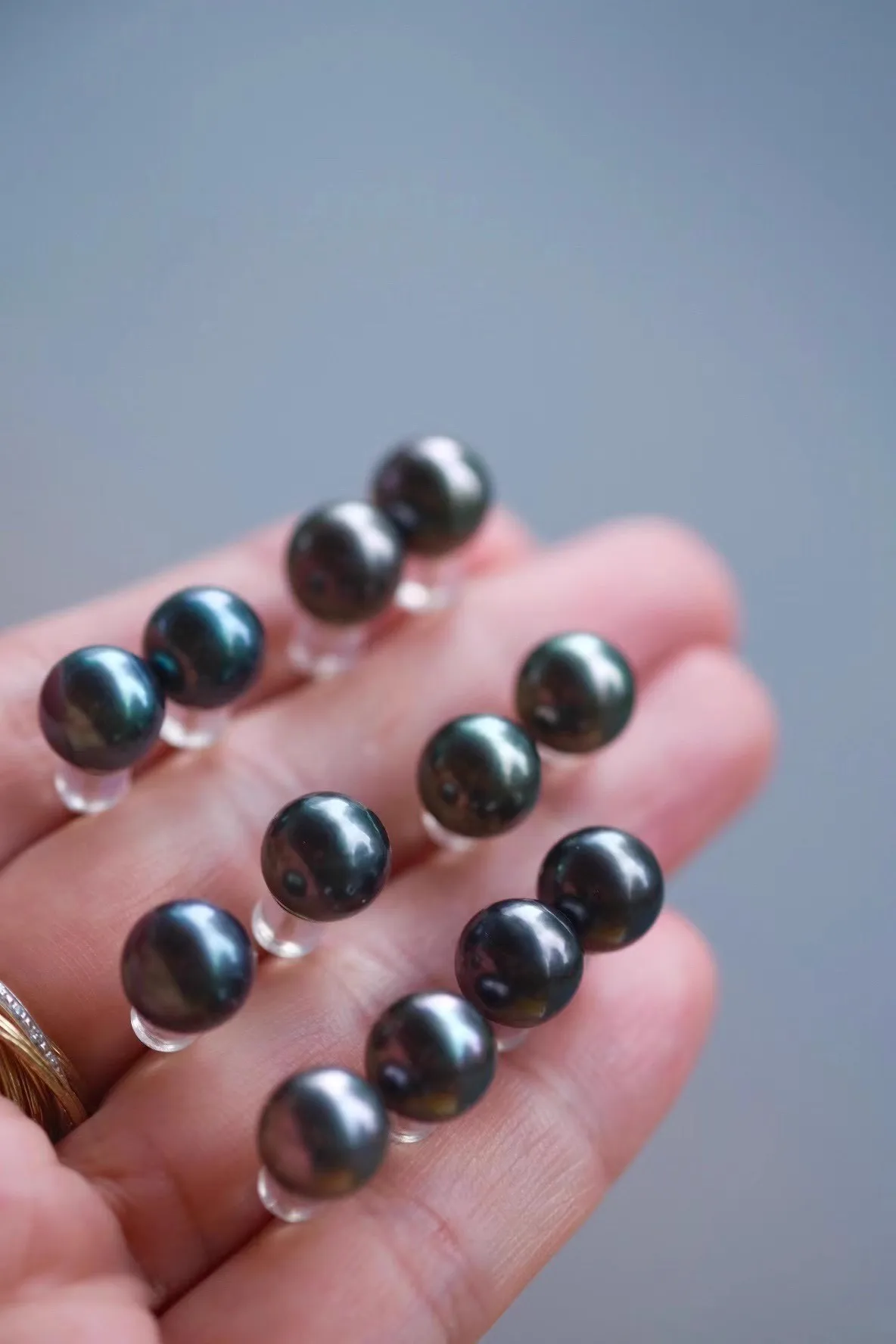 

1 Pair - Natural Pearl Tahiti Black Pearl AAAA 9-10mm 10-11mm Pearl Earnail 18k/AU750 Gold