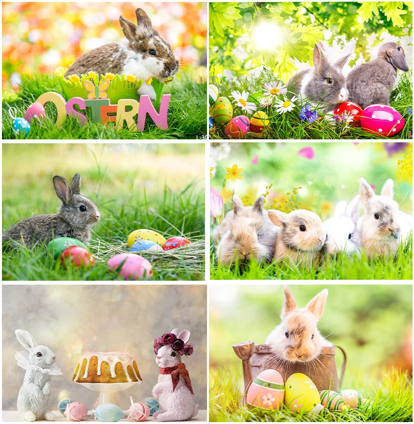 Cute Rabbit Bunny Grassland Backgrounds Photography Colorful Eggs Happy Easter Spring Birthday Party Sunshine Floral Backdrops