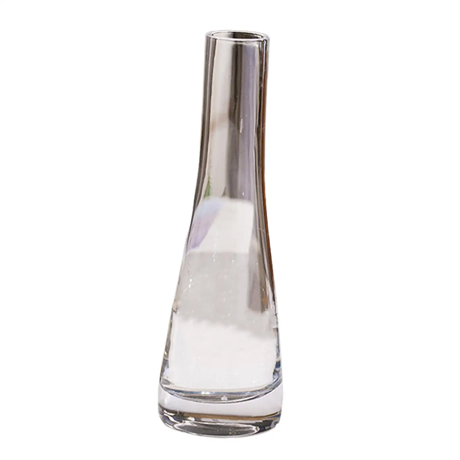 Glass Bottle Flower Vase Minimalist Narrow Glass Vases Flowers Glass Flower