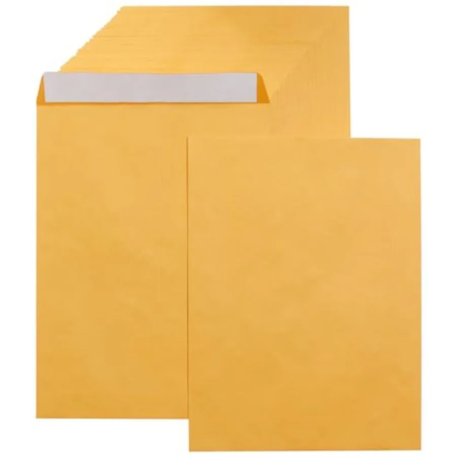 

Catalog Self Seal Mailing Envelopes for Documents Peel and Seal