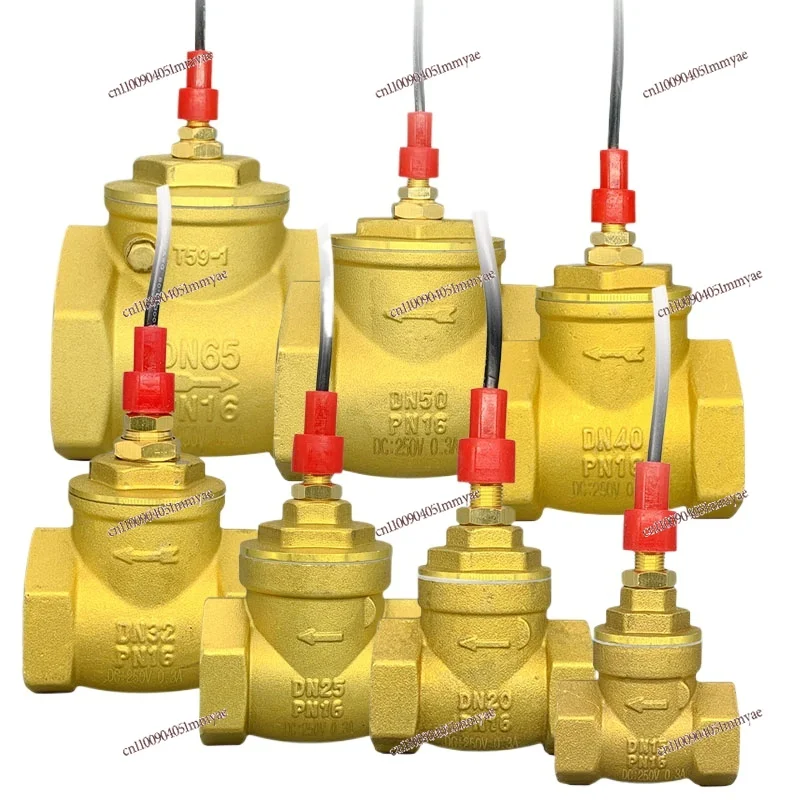 

Air Energy Large Flow All Copper Check Valve Baffle Type Water Induction Signal Flow Switch