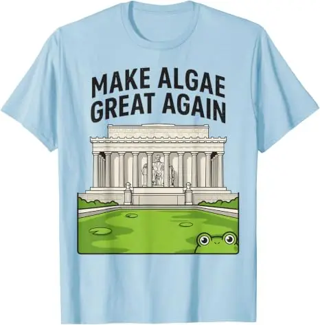 Lustiges „Make Algae Great Again“ Lincoln Reflecting Pool Midterm Frog T-Shirt Y2k Ästhetisches Maga Sarkastisches Witz-T-Shirt Streetwear Geschenke – Detail 13