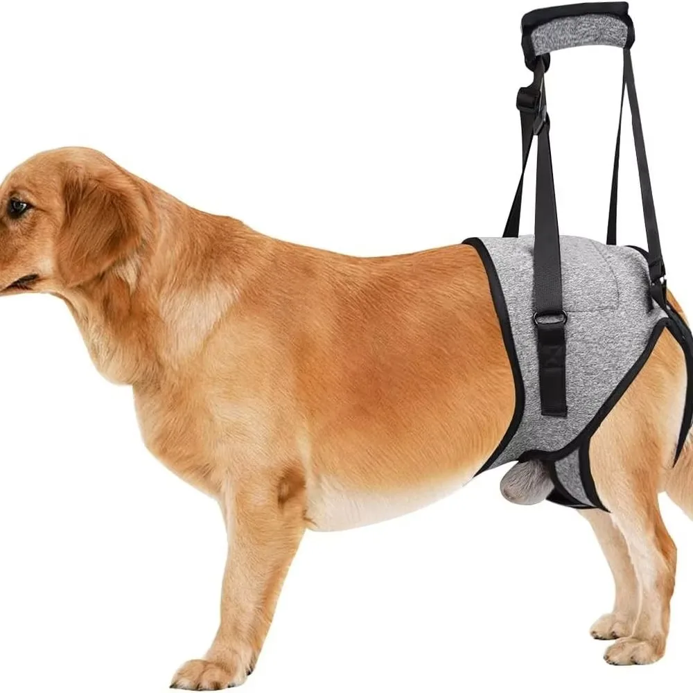FurStarMedium Dog Support Sling, Adjustable Padded Harness For Elderly Or Injured Dogs, Size Large
