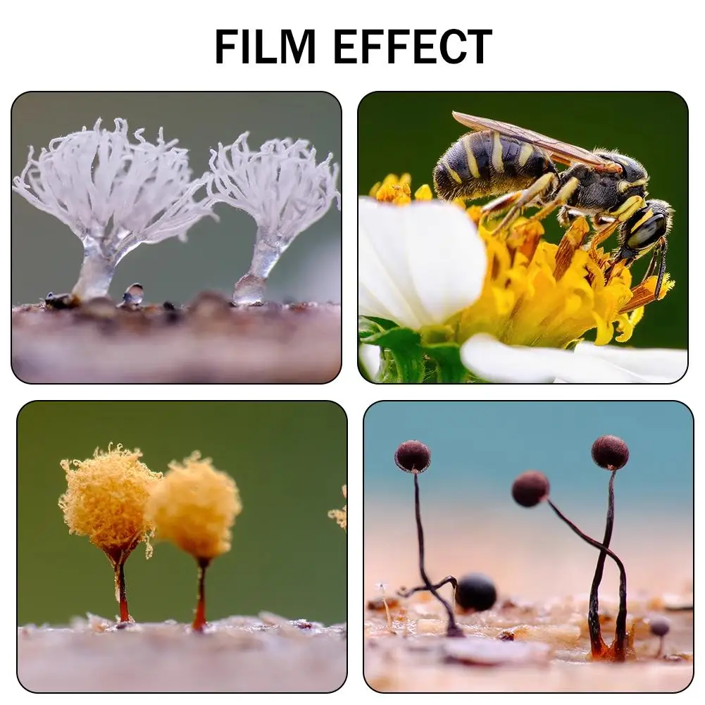 12Pcs Macro Photography Background Card For Ecological Photography Blurry Background Macro Photography Of Flowers And Insect