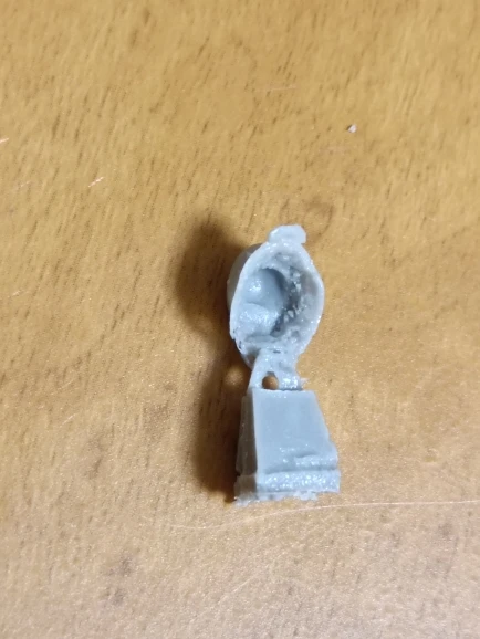 Buyer photo of this resin kit