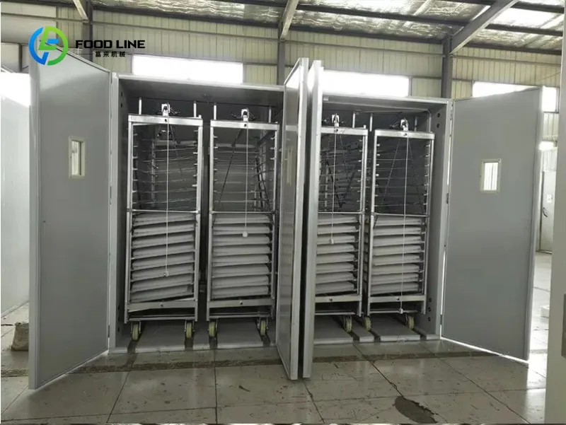 China Industrial Incubation Egg Incubator 19712 Incubator Automatic