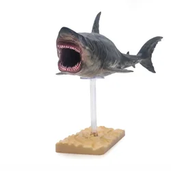 PNSO 1:35 Megalodon Model Prehistoric Ocean Animal Figure With Base Adult Kids Collection Lamnidae Shark Toys Gift Home Decor