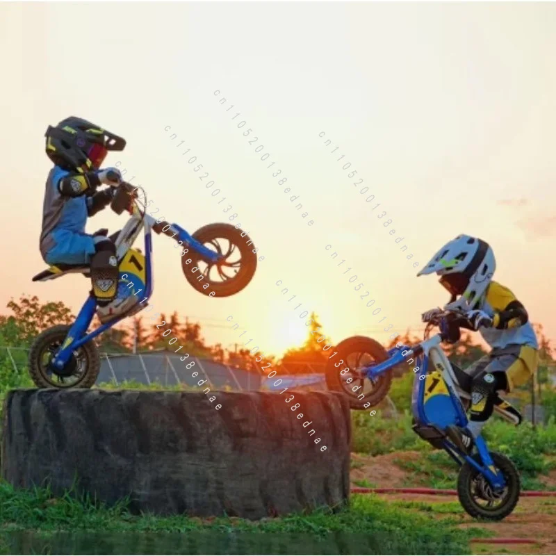 Teen Electric Off-Road Motorcycle Outdoor Kids Bicycle 3-16 Years Old