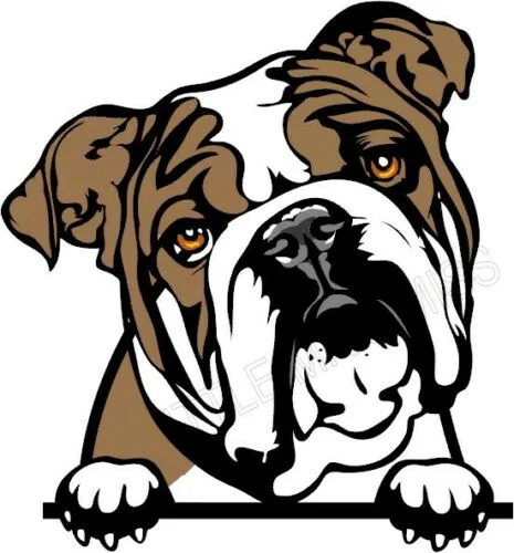 

For Pied British / English Bulldog Dog Breed Window Car Wall Laptop Sticker