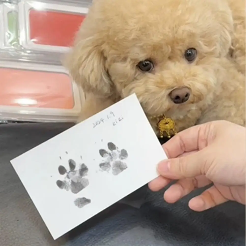 1 Set Pet Paw Printing Kit with Wooden Photo Frame DIY Dog Cat Paw Print Impression Puppy Kitten Pawprint Memorial Picture Frame