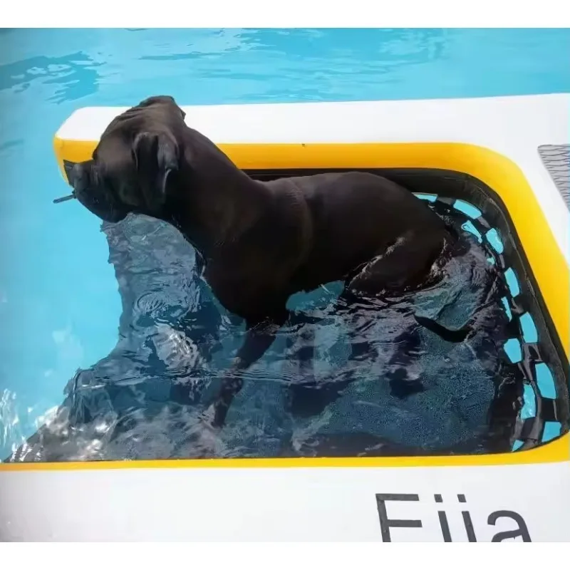 Inflatable Pup Plank  Dog Water Ramp Dwf Material Floating Ramp Ladder for Swimming Pets