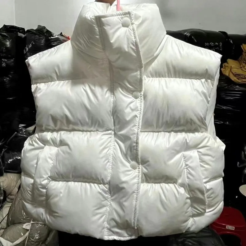 เสื้อแจ็คเก็ตคอตั้งสไตล์เกาหลีเก๋ไก๋สำหรับฤดูหนาว กระดุมแถวเดียว ทรงหลวม ใส่ได้หลายโอกาส เสื้อกั๊กหนาและสั้น เสื้อผ้าผู้หญิง