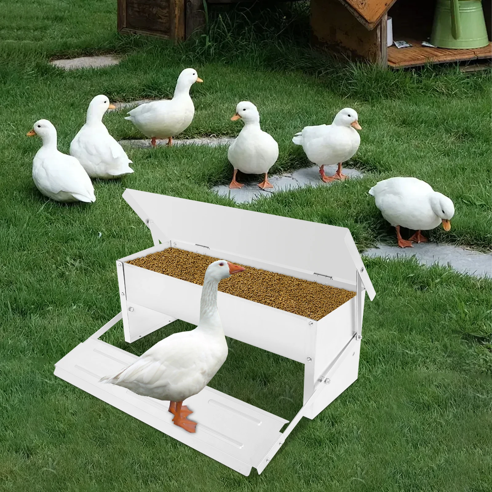 5 كجم سعة مغذيات الدجاج الأوتوماتيكية الدواسة غطاء مانع لتسرب الماء الفئران برهان تغذية الدواجن حوض تغذية الدجاج للبط تركيا