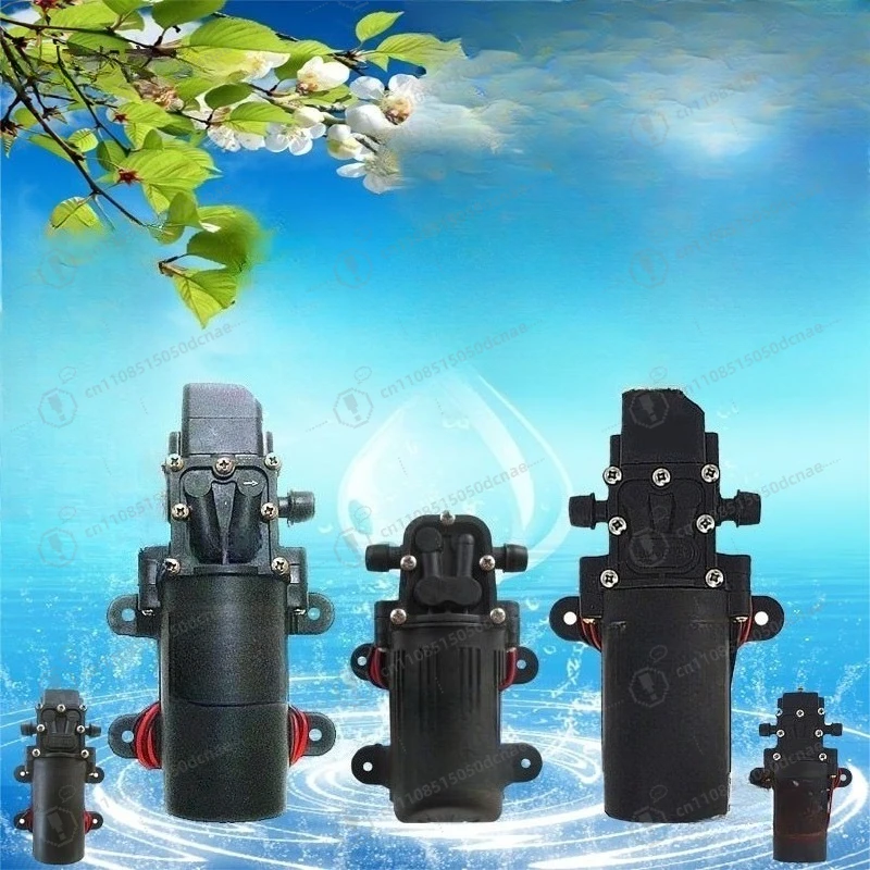 12V Electric Sprayer Diaphragm Pump, 220V Mini Micro Water Pump for Home Car Washing