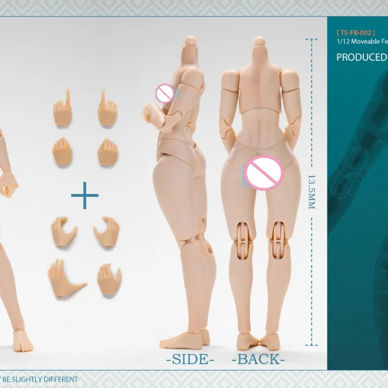 2025New Q1 TUNSHI STUDIO TS-FB-001/002 1/12 اللوحة أنثى عمل الشكل 13.5 سنتيمتر سوبر مرنة كبيرة تمثال نصفي صغير دمية صبي #3