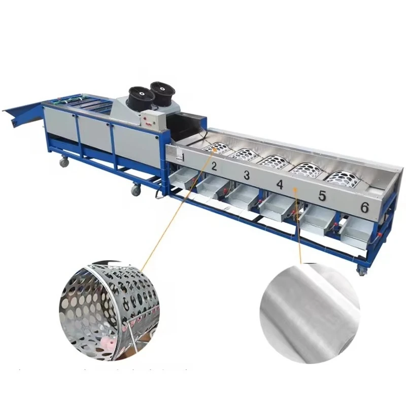 Potatoes Garlic Cherry Plum Dates Cashew Pineapple Sorter Sorting Grading Machine for Vegetable Fruit